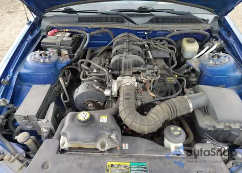 2005 Ford Mustang V6 Deluxe/V6 Premium z USA, uszkodzony, nr VIN 1ZVHT80N755236592